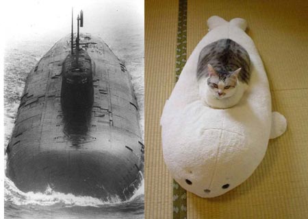動物でワロタ画像(´Д`;)