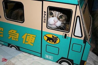 ワロタ画像(´Д`;)