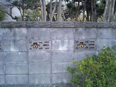 動物でワロタ画像(´Д`;)