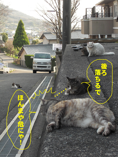 ポンちゃんは心の病