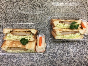 本日のまめちゃん 本日のまめちゃん