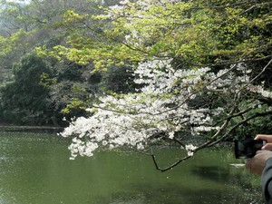 この春の婚活イベント この春の婚活イベント