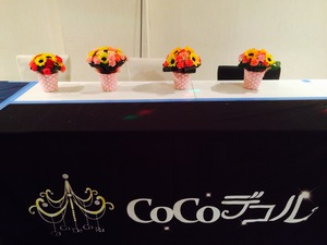 【レポート】CoCoデコル定期公演　新曲「CoCoDeCoRu」発表！（５／２９）　❤　CoCoデコル第2章本格始動