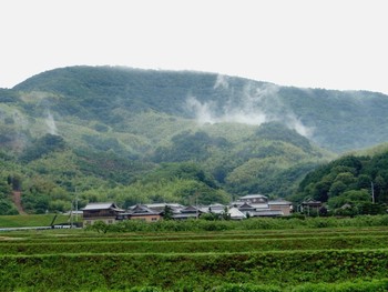 パスタと温泉と黒ニンニク