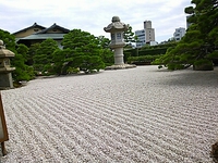 昨日の遠足＊