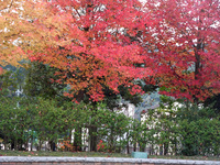 香川用水記念公園!!