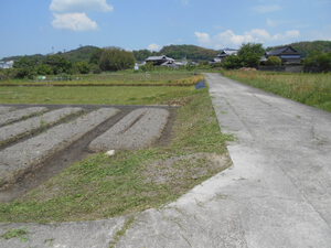 三豊ナス園周囲草刈り!!