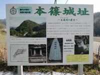 対応が早くて良かった!!