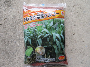 やわらか矮性ソルゴー購入!!