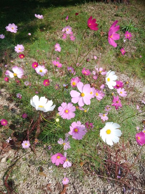 まんのう公園へ