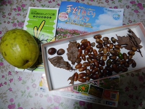 まんのう公園へ