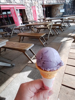 まんのう公園へ