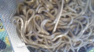 讃岐うどんで・・・トトロ蕎麦♥