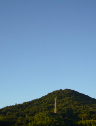 夏です！