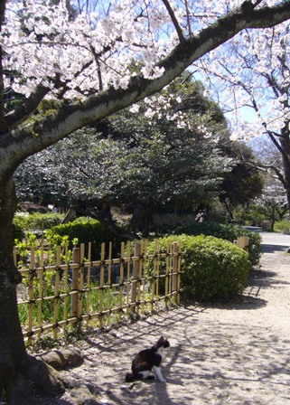西条市　なーやさん