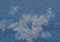 また雪だぁ～♪