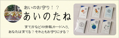 江戸時代なら死刑！！本物のあいのたね。