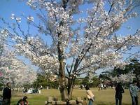 花に浮かれて！2