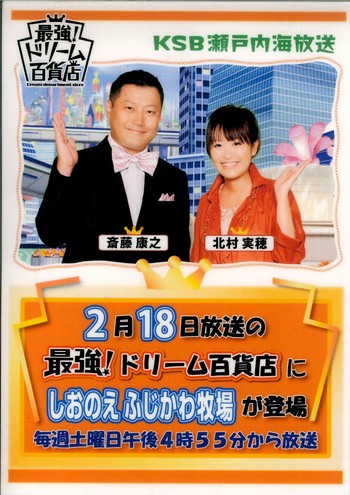 ドリーム百貨店に