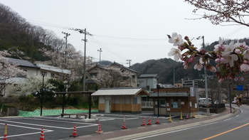 １日から