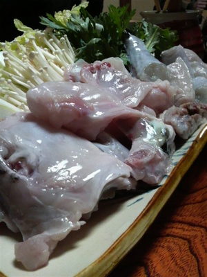ふぐを食べに！