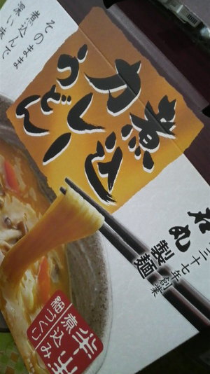 煮込みカレーうどん
