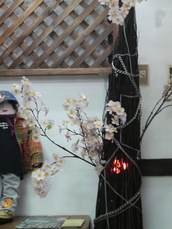 灯り桜