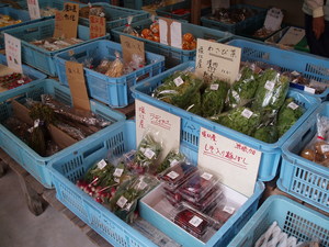 しおのえの野菜が