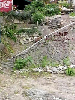 イタズラたぬきを・・・