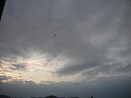 笑顔で締めくくり