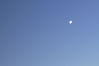 今夜は今度は