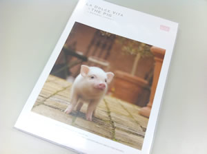 やっと手に入れました!!