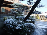 雪景色!!
