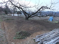 さる軍団到来!!