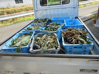 ６杯も・・・・・