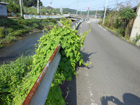 通学路!!