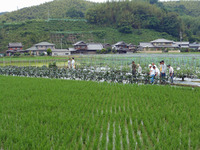 園地確認!!