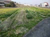 残り僅か!!