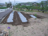 作付け地準備!!