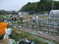 三豊ナス研究会!!