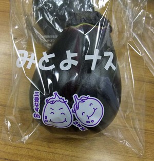 高松青果出荷１９日まで!!
