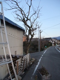 さっぱりと!!
