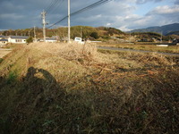 圃場準備!!