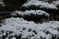 天気予報は正確!!