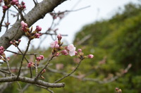 東日本大震災、4月4日までの状況!!