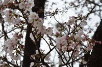 3月の携帯・PHS契約数が明らかに!!