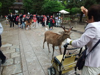 シーズン!!