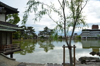 興福寺!!