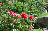 2011年夏モデル リンク集 !!