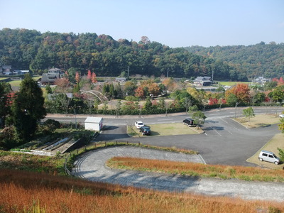 香川用水記念公園 !! 見ごろ